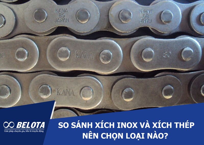 Stainless Steel vs. Carbon Steel Roller Chains: Which Is the Better Choice?