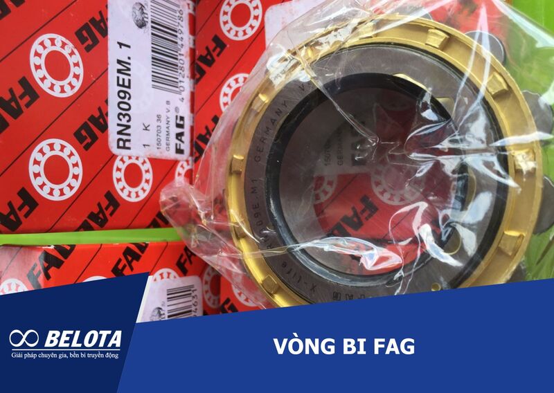 Thế mạnh nổi bật của FAG nằm ở vòng bi cô và vòng bi cầu tự lựa