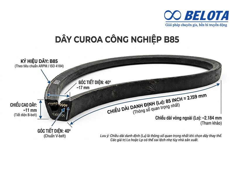 Thông số chi tiết của dây curoa B85