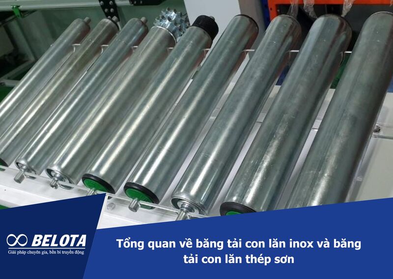 Tổng quan về băng tải con lăn inox và băng tải con lăn thép sơn
