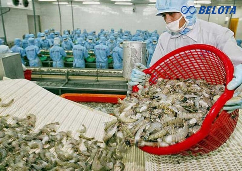 Tổng quan về quy trình sơ chế tôm