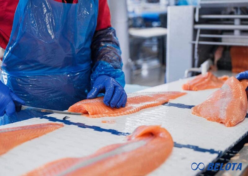 Ứng dụng của băng tải fillet cá