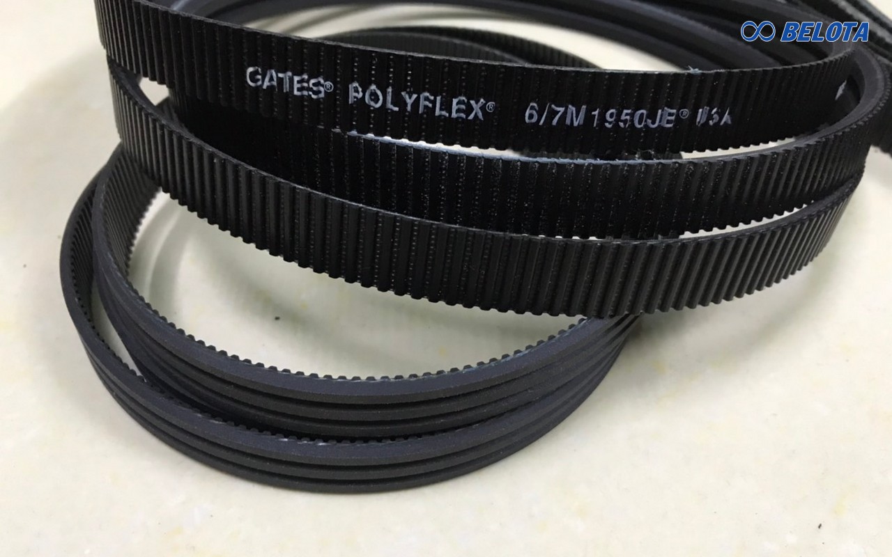 Ứng dụng của dây curoa thang Gates