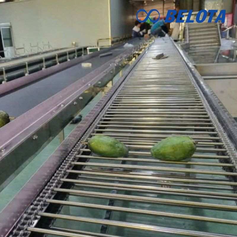 Ứng dụng thực tế của băng tải lưới Inox thang 1 hàng