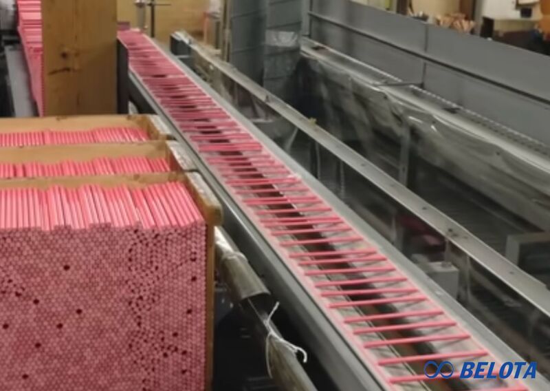 Ứng dụng thực tế của băng tải máy sơn bút chì