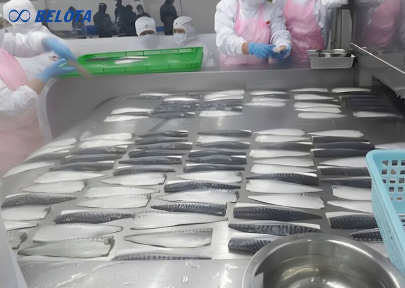 Ưu điểm của băng chuyền IQF cấp đông phẳng