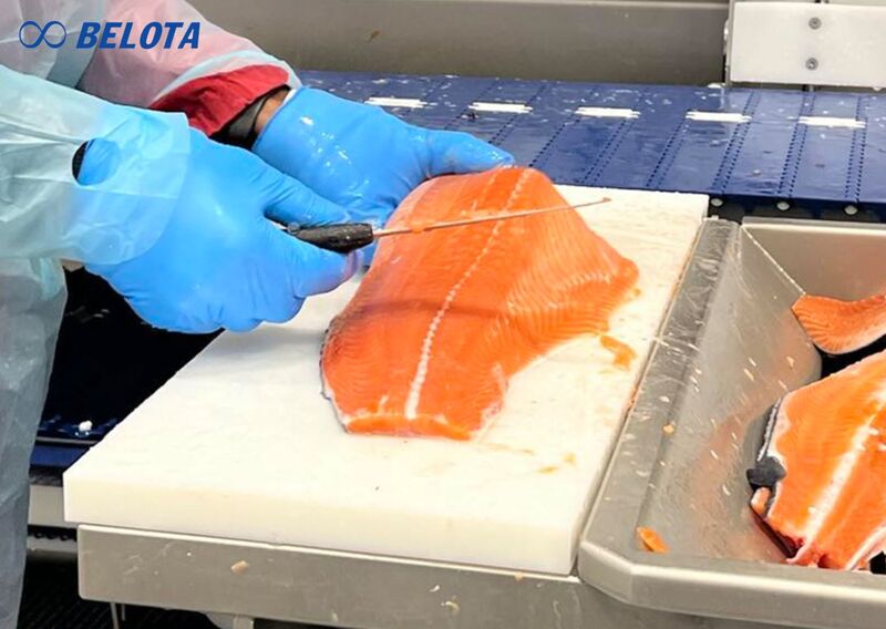 Ưu điểm nổi bật của băng tải fillet cá