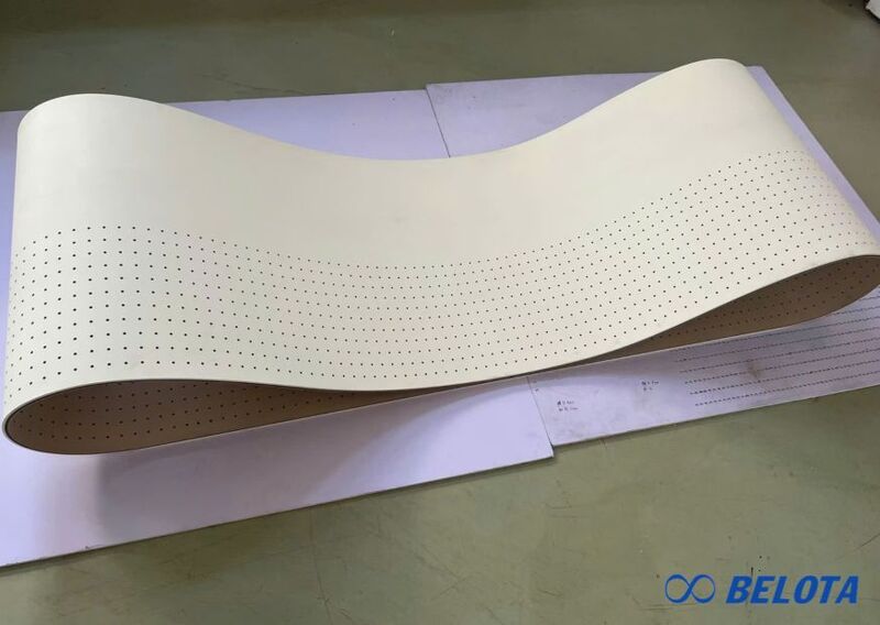 Ưu điểm nổi bật của băng tải máy đánh bavia