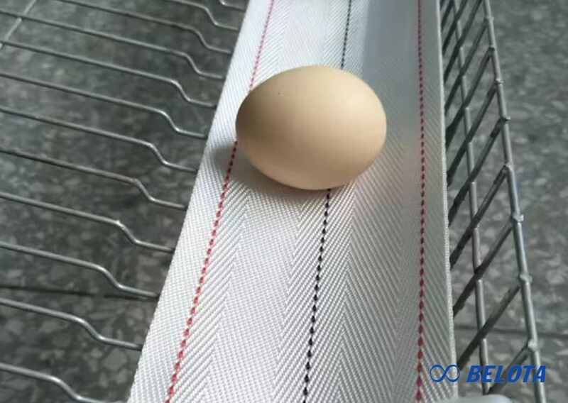 Ưu điểm nổi bật của băng tải trứng gà