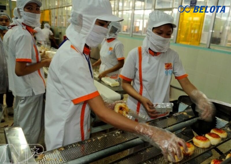 Vai trò của băng tải trong dây chuyền sản xuất bánh pía