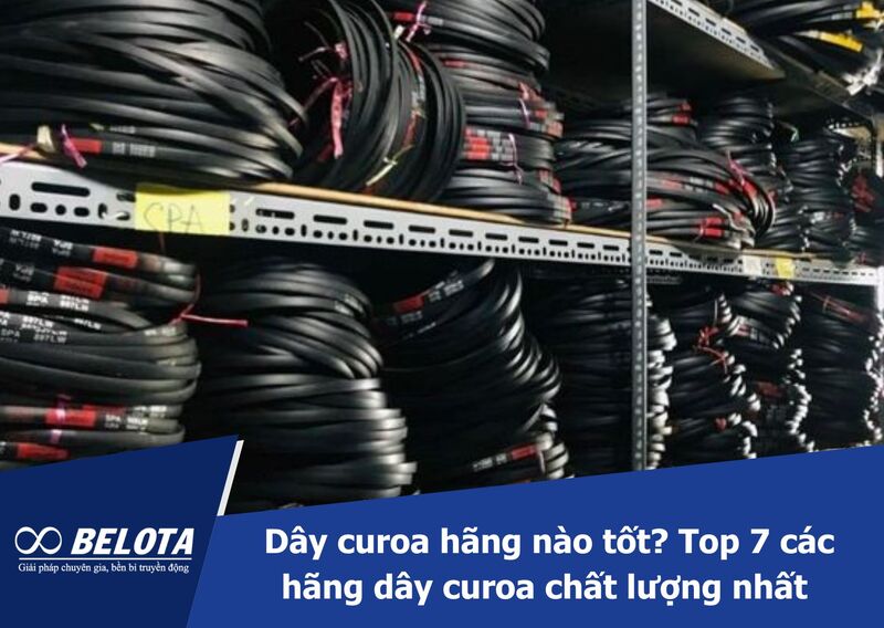 Which drive belt brand is best? Top 7 Best Drive Belt Brands