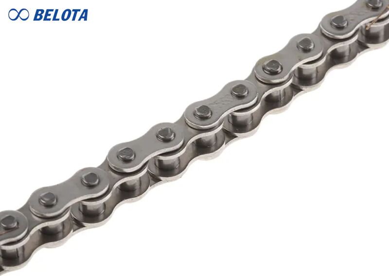 Xích 25 (hay ANSI 25) là dòng xích có kích thước nhỏ nhất trong hệ tiêu chuẩn ANSI B29.1 của Mỹ